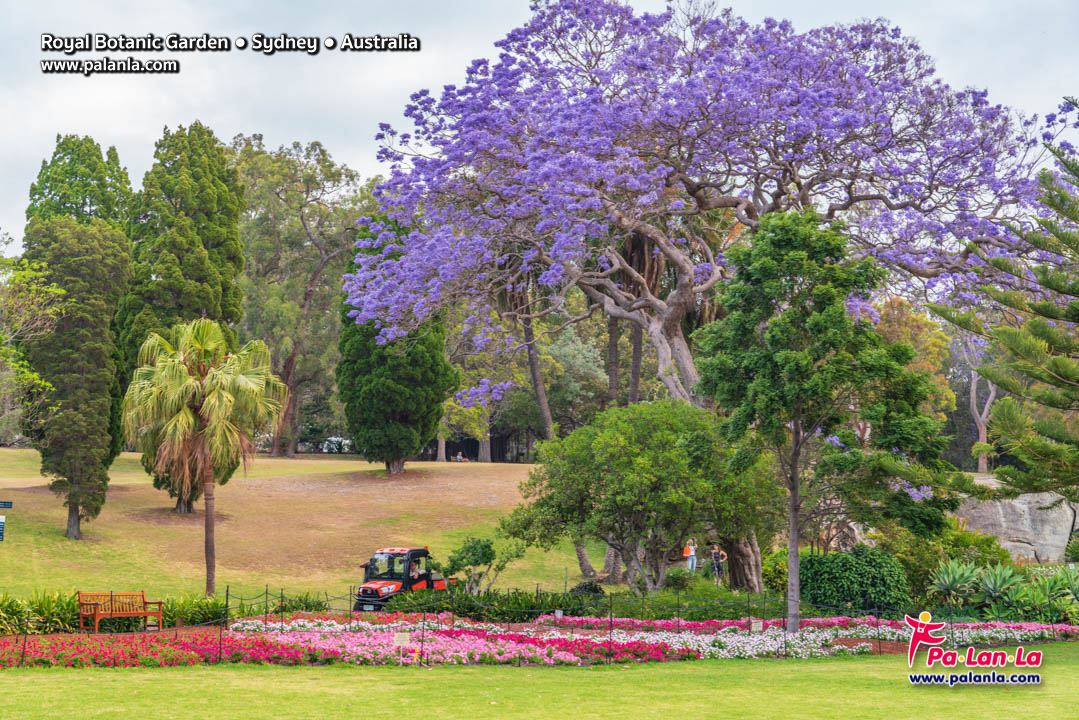 Royal Botanic Gardens